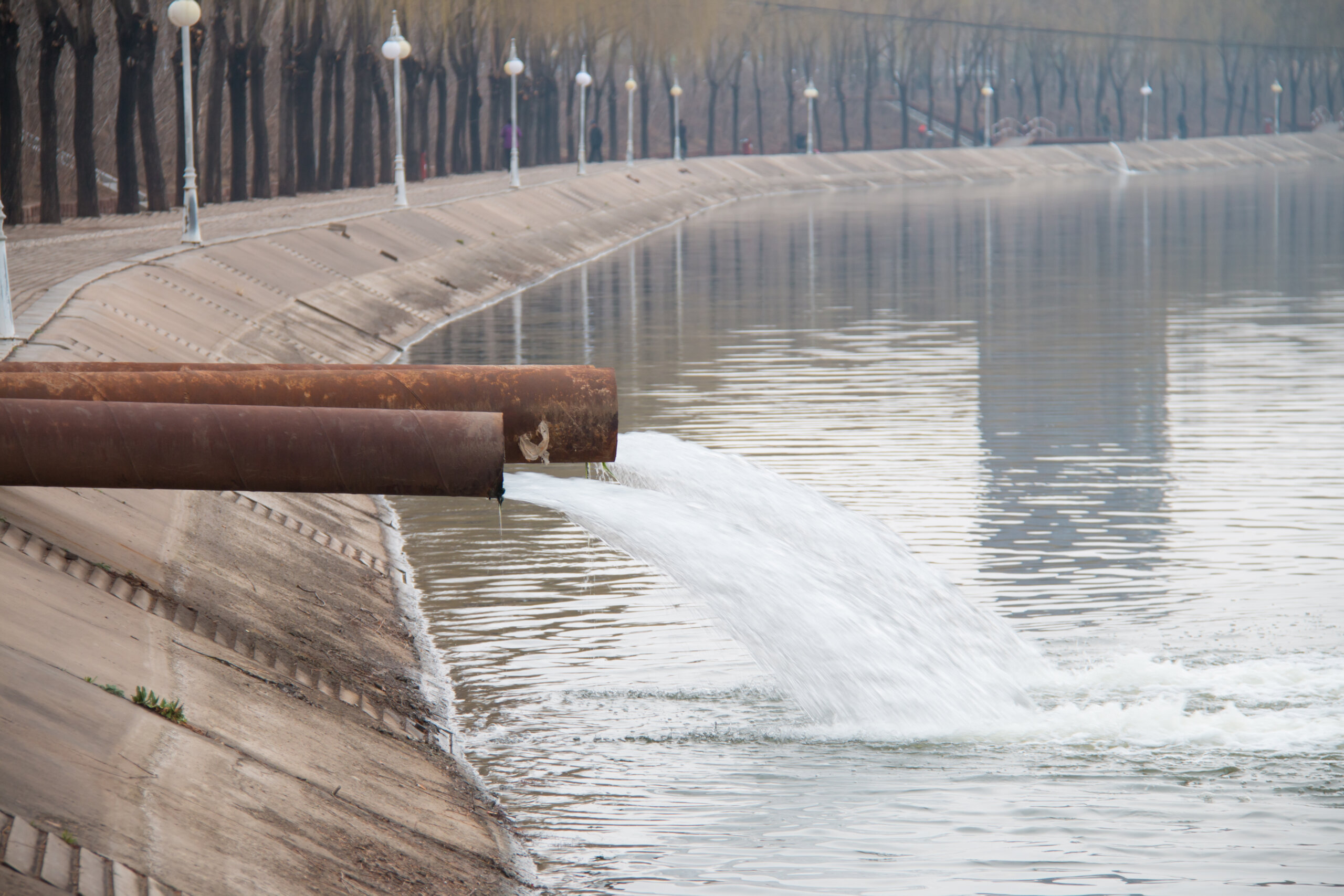 Appel à contributeurs : Groupe de travail Réduction des substances dangereuses dans l’eau (RSDE)
