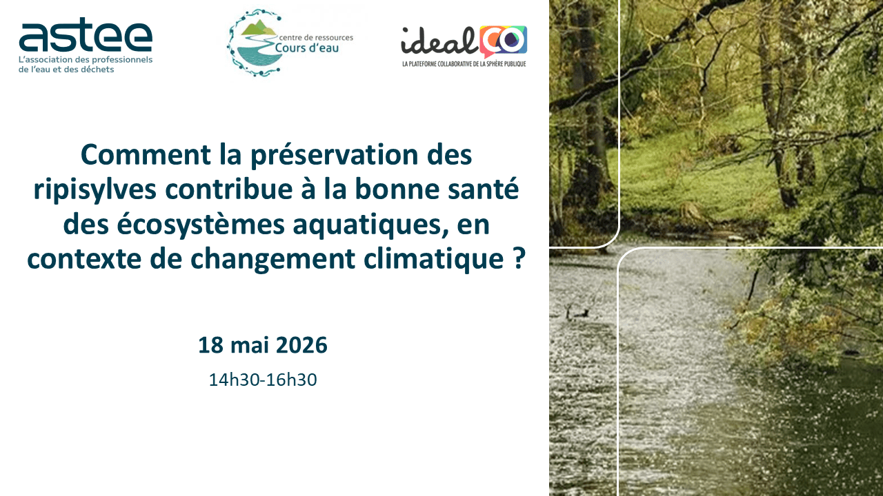 Ripisylves et Résilience des écosystèmes aquatiques
