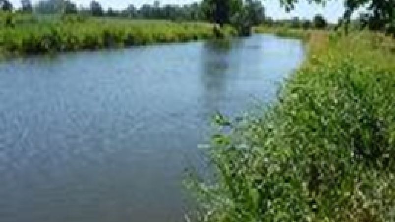 Diagnostic des impacts d’un rejet d’assainissement sur le milieu naturel en région Bordelaise