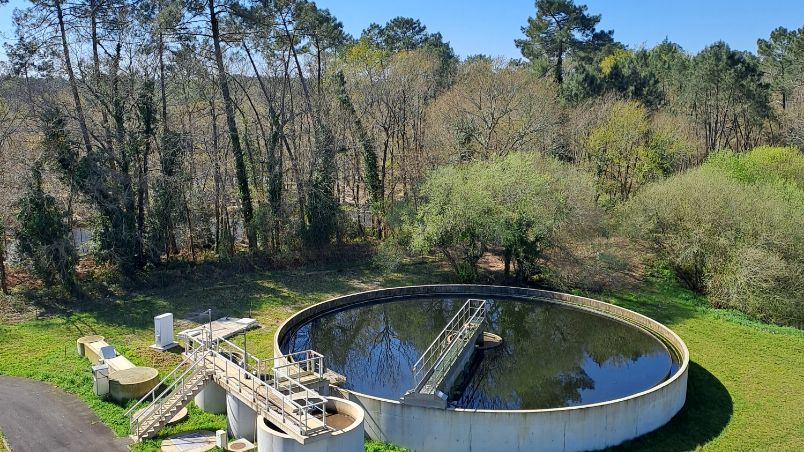 Caractérisation de la toxicité des effluents entrant et sortant d’une STEU et de l’efficacité des traitements